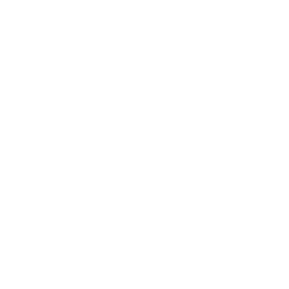 cargo icon