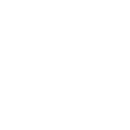 compliance icon