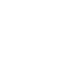donut-chart icon