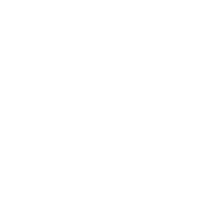 growth partner icon