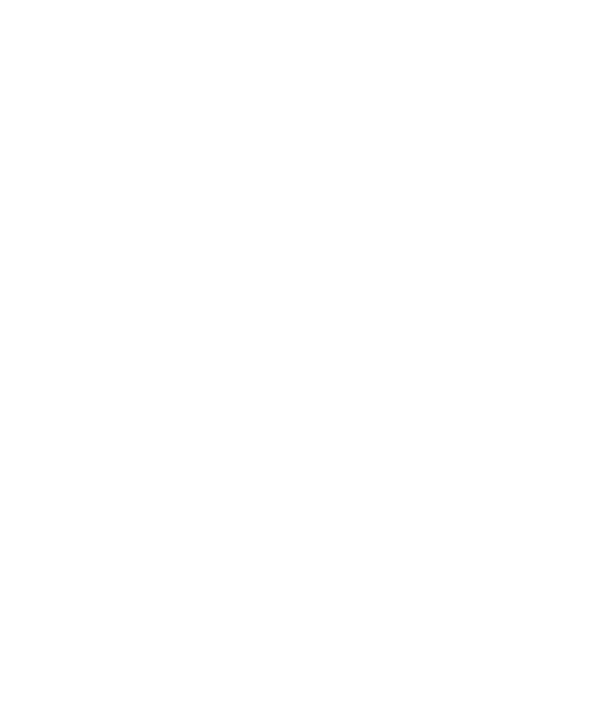 shield icon