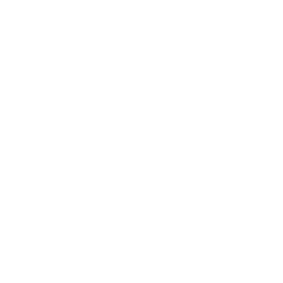 shopping cart icon
