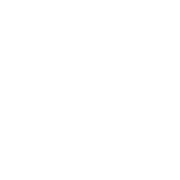 stoe icon